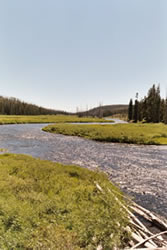 Yellowstone river