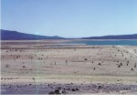 Wickiup has had some low water years...