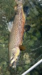 Filename : 179299_398995390181438_1152648913_n.jpg
Filesize : 86KB
Dimensions : 541x960
Date added : Mar 19, 2016 179299_398995390181438_1152648913_n.jpg
