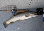 Filename : 2011_Wickiup_Brown.jpg
Filesize : 1250KB
Dimensions : 1280x906
Date added : Jul 12, 2011 2011_Wickiup_Brown.jpg