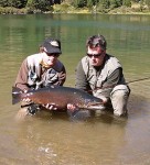Filename : 2926_Salmo Patagonia Lodge_Brown Trout_Salmo trutta fario.jpg
Filesize : 53KB
Dimensions : 365x400
Date added : Apr 12, 2014 2926_Salmo Patagonia Lodge_Brown Trout_Salmo trutta fario.jpg