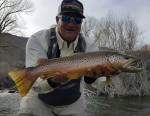Filename : 387_619911054829705_7192622298517630681_n.jpg
Filesize : 38KB
Dimensions : 500x389
Date added : Apr 04, 2016 387_619911054829705_7192622298517630681_n.jpg