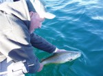 John releases his 6 LB. brown to add some weight.