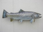 Filename : Brown_Trout x 1_800x600.jpg
Filesize : 64KB
Dimensions : 800x600
Date added : Dec 24, 2009 Brown_Trout x 1_800x600.jpg