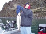 Pretty winter time bull trout