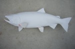 Filename : Fish 111_800x531.jpg
Filesize : 45KB
Dimensions : 800x531
Date added : Oct 16, 2010 Fish 111_800x531.jpg