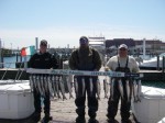 Mike, Craig and Rick with our limits of Coho...