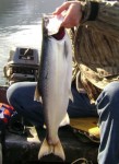 Filename : Kokanee2.jpg
Filesize : 29KB
Dimensions : 300x412
Date added : May 07, 2009 Kokanee2.jpg