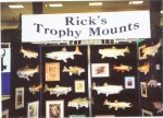 Rick's trophy mounts...