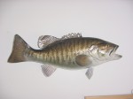 Filename : SmMoBass02.JPG
Filesize : 133KB
Dimensions : 1024x768
Date added : Jun 24, 2006 SmMoBass02.JPG
