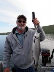 My personal best kokanee went 4.5 LB. and was over 22 in. long!