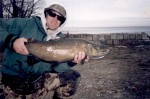 Filename : big_brown.jpg
Filesize : 115KB
Dimensions : 565x375
Date added : Jan 23, 2008 big_brown.jpg