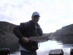 Bull trout on the bite...