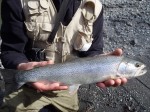 Filename : cut12.jpg
Filesize : 185KB
Dimensions : 800x600
Date added : Feb 23, 2012 cut12.jpg