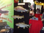 Filename : fish mounts 011_800x600~0.JPG
Filesize : 92KB
Dimensions : 800x600
Date added : Dec 23, 2009 fish mounts 011_800x600~0.JPG