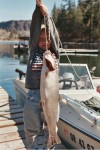 Filename : fish1.jpg
Filesize : 46KB
Dimensions : 384x576
Date added : Mar 22, 2005 fish1.jpg