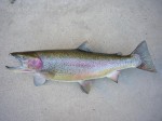 Filename : rick_051_800x600.jpg
Filesize : 107KB
Dimensions : 800x600
Date added : Jun 30, 2012 rick_051_800x600.jpg