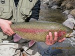 Filename : tgy31.jpg
Filesize : 162KB
Dimensions : 800x600
Date added : Apr 02, 2012 tgy31.jpg