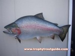 Filename : the_fish.jpg
Filesize : 69KB
Dimensions : 1024x768
Date added : Oct 05, 2007 the_fish.jpg