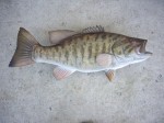 Filename : trout30 006_thumb.jpg
Filesize : 134KB
Dimensions : 640x480
Date added : Feb 08, 2011 trout30 006_thumb.jpg