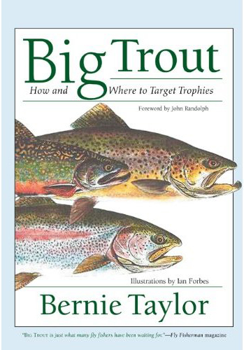 Big Trout: How and Where to Target Trophies