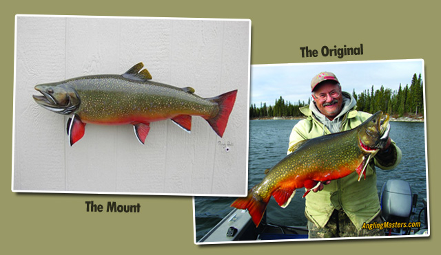 The mount of the largest brook trout ever caught...