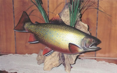 Big Brook Trout