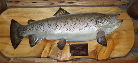 Ron Lane's Oregon state record...
